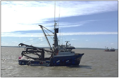  Pacific Knight in Nushagak Bay, about a month before the accident. (Photo by witness)