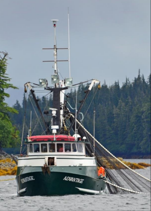 Fishing vessel Advantage operating in Prince  William Sound, Alaska.