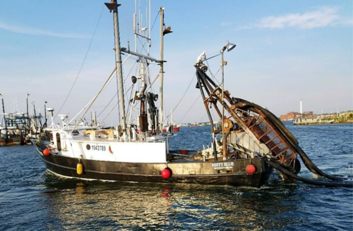 Misty Blue in June 2017 in Fairhaven, Massachusetts.